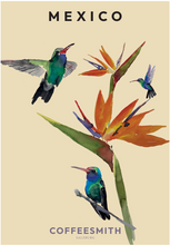 Load image into Gallery viewer, Mexico - Edgar Abisain